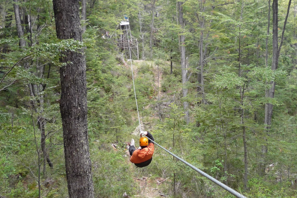 Canopy Canopy